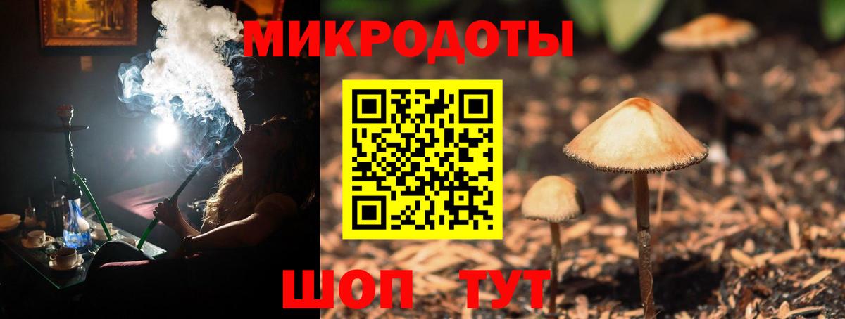 Псилоцибиновые грибы мицелий  Псилоцибиновые грибы MAGIC MUSHROOMS  Чернушка  Вход с VPN 